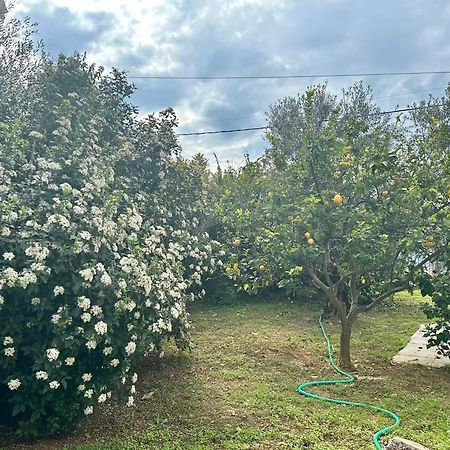 Chic Apartment In Nature, 5-Min Walk To The Beach カラマタ エクステリア 写真